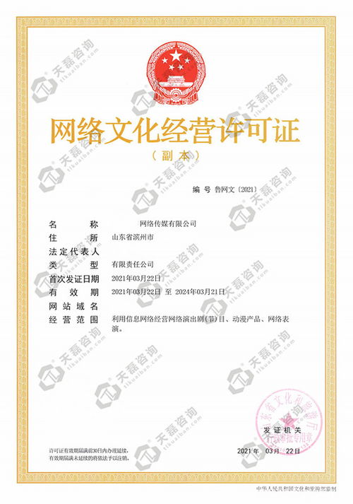 探索互聯(lián)網(wǎng)文化活動(dòng) 新媒介時(shí)代的文化實(shí)踐與思考