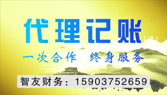 平頂山代理記賬與代理代辦服務(wù) 企業(yè)高效運(yùn)營(yíng)的得力助手